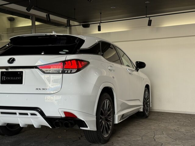 レクサスRX300 Fスポーツ ホワイトノーヴァガラスフレーク イメージ21