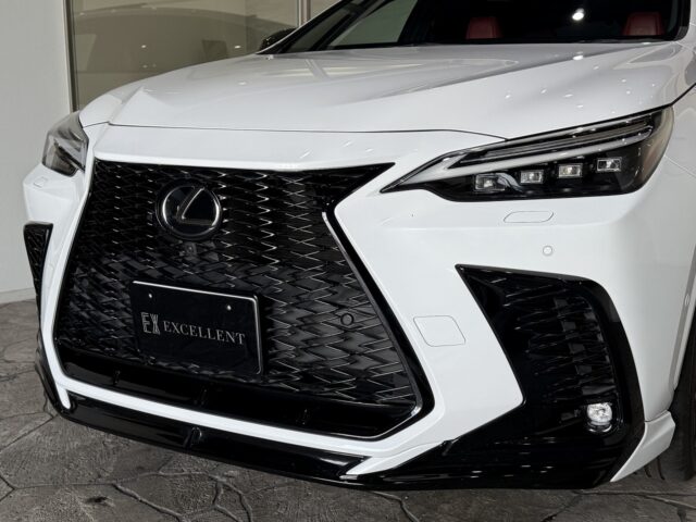 レクサスNX350h Fスポーツ ホワイトノーヴァガラスフレーク R4 イメージ9