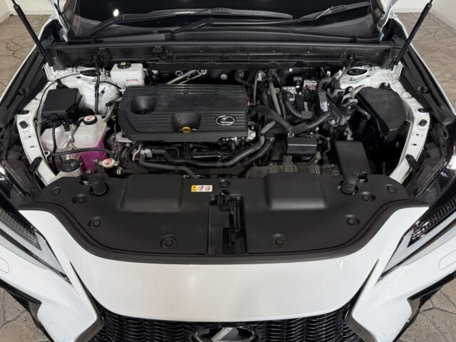 レクサスNX350h Fスポーツ ホワイトノーヴァガラスフレーク R4 イメージ27
