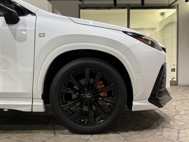 レクサスNX350h Fスポーツ ホワイトノーヴァガラスフレーク R4 イメージ4