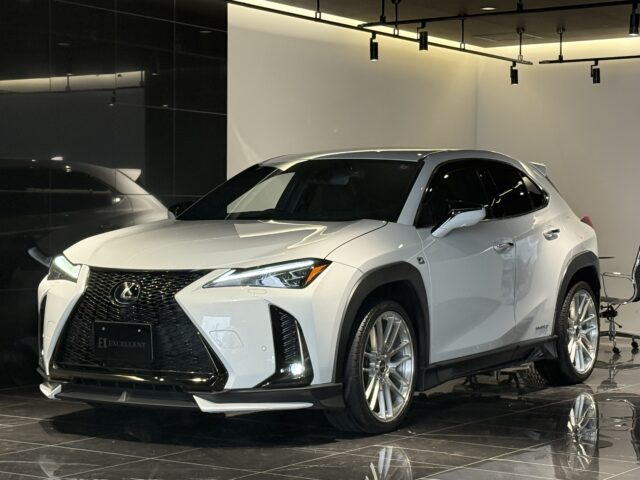 レクサス　UX250h　Fスポーツ　TRDカスタム イメージ11