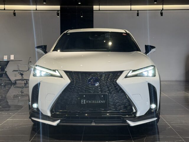 レクサス　UX250h　Fスポーツ　TRDカスタム イメージ19