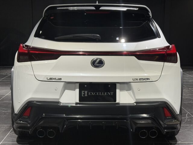 レクサス　UX250h　Fスポーツ　TRDカスタム イメージ4