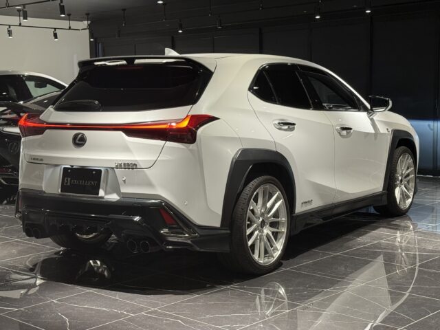 レクサス　UX250h　Fスポーツ　TRDカスタム イメージ12