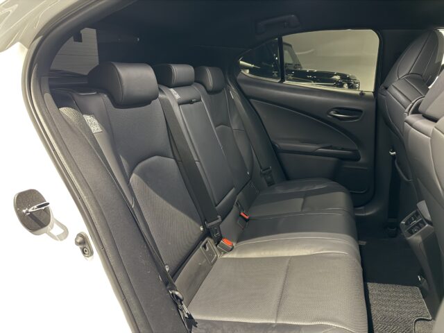 レクサス　UX250h　Fスポーツ　TRDカスタム イメージ6