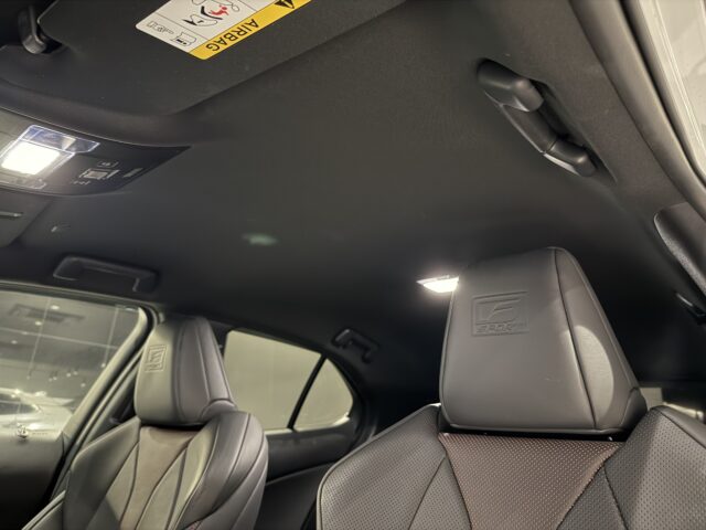 レクサス　UX250h　Fスポーツ　TRDカスタム イメージ8