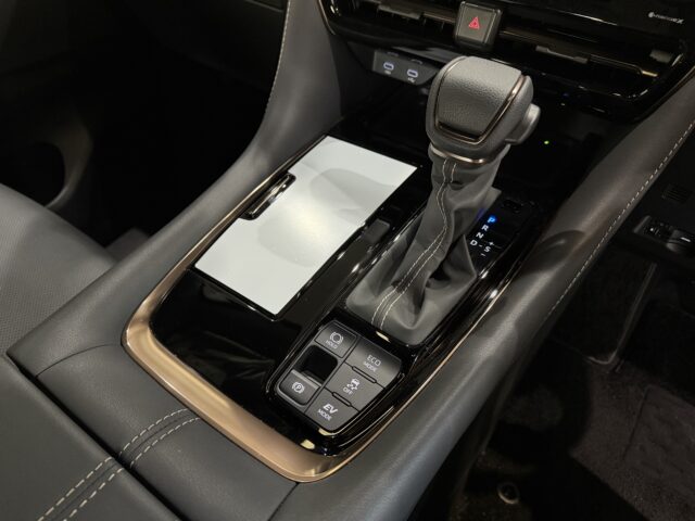 アルファード　プレシャスレオブロンド イメージ26