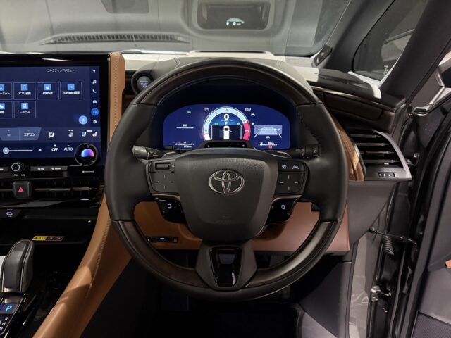 改良後　ヴェルファイア　メタル イメージ8