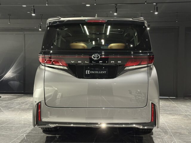 改良後　ヴェルファイア　メタル イメージ10