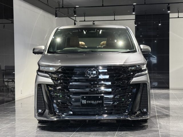 改良後　ヴェルファイア　メタル イメージ9